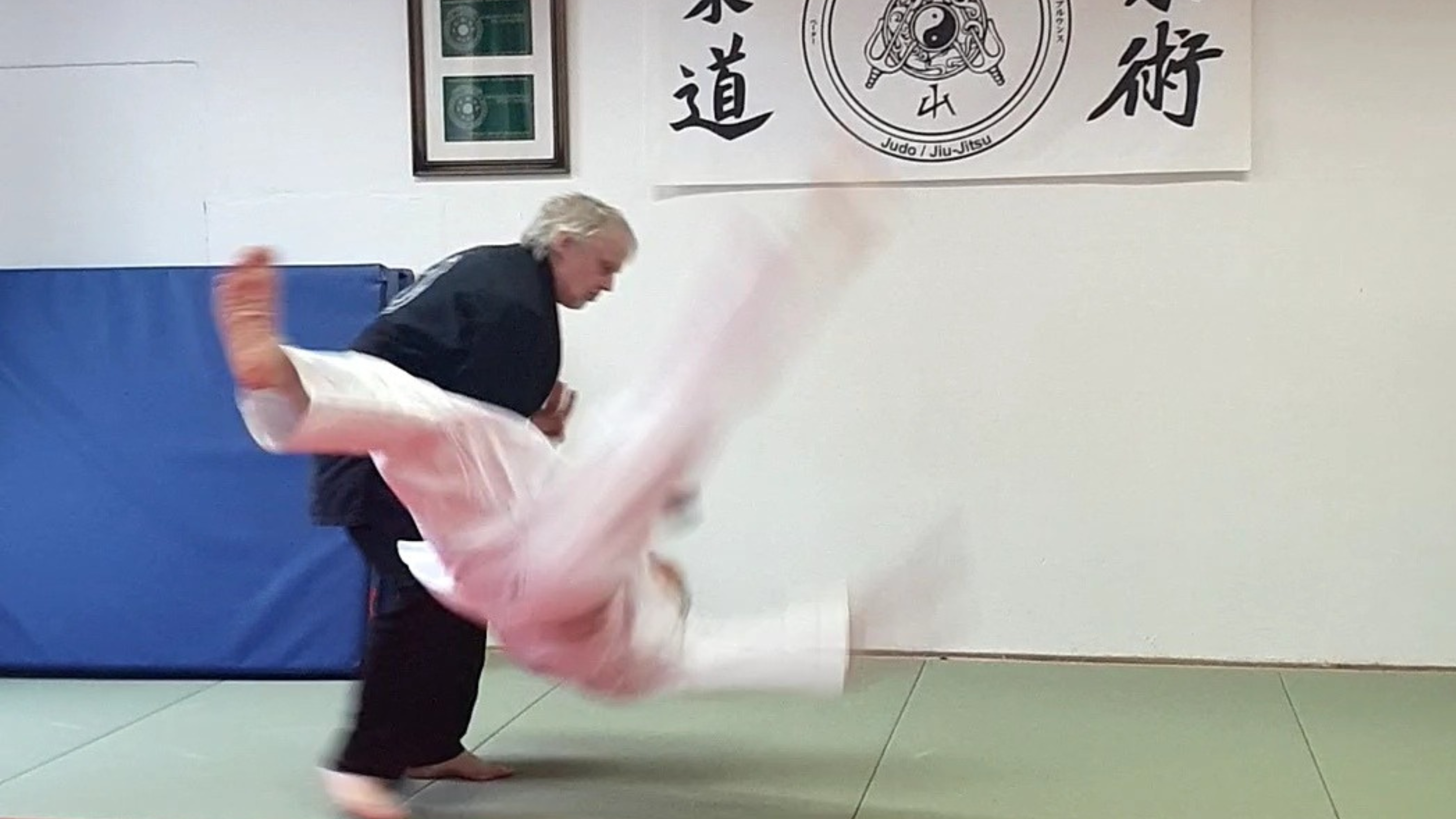 Jiu-Jitsu in Theorie und Praxis: DAN-Vorbereitungskurs in Rohden am 08.11.2025