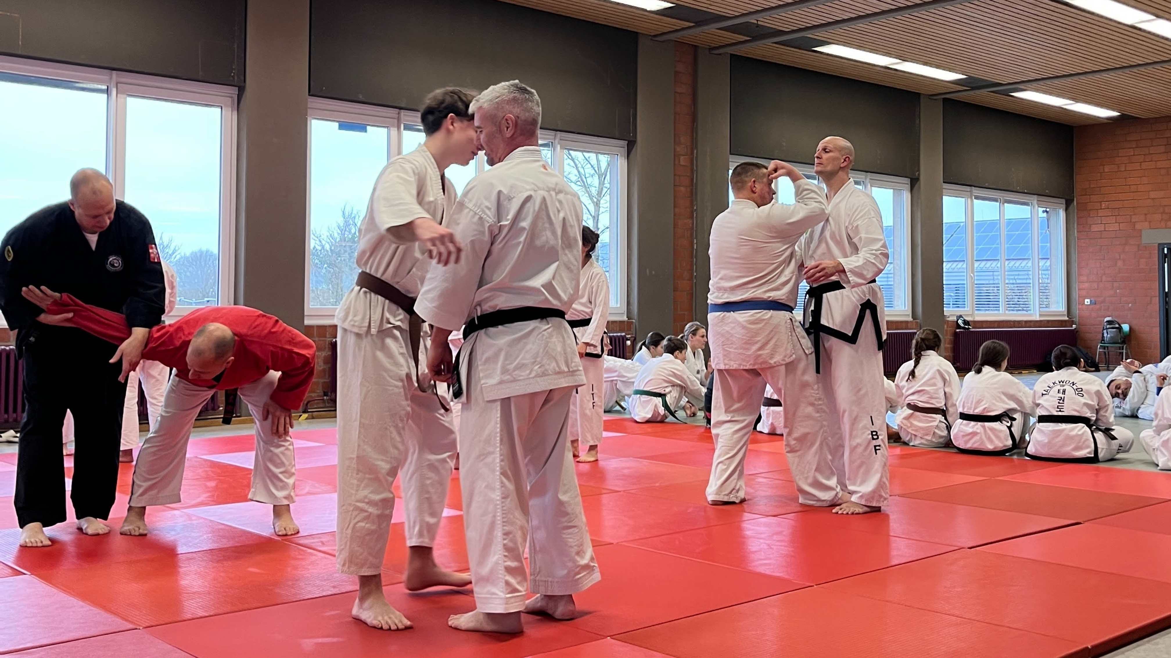 IBF Gremium26 Action4